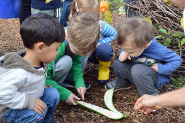 small children gathered in a garden examining a pod